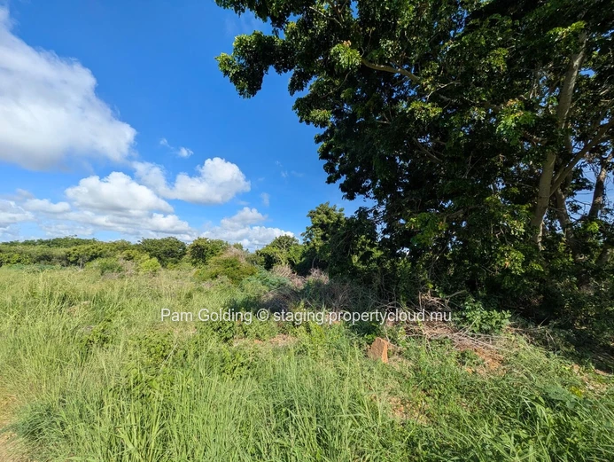 Calodyne – Terrain à vendre – Pam Golding Mauritius (Mandat exclusif)