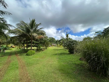 Land