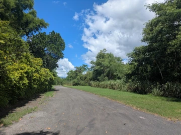 Agricultural Land