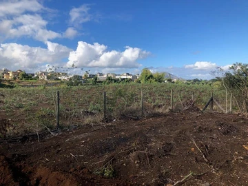 Agricultural Land