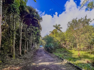 Residential Land
