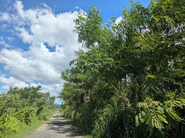 Agricultural Land