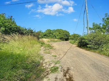 Land
