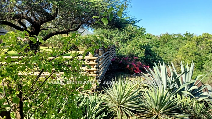 Invest in a modern single-storey villa with swimming pool and stunning mountain view