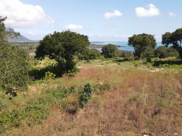 Land