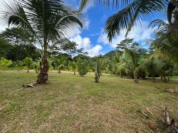 Land