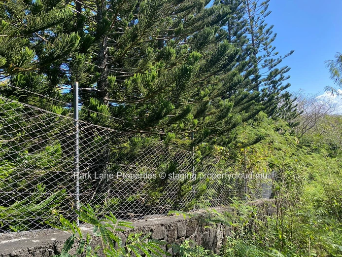 Belle parcelle de terrain agricole avec possibilité de conversion à Mare Sèche, Grand Baie