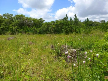Residential Land