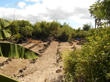 Land