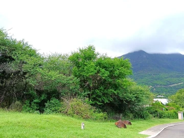 Residential Land