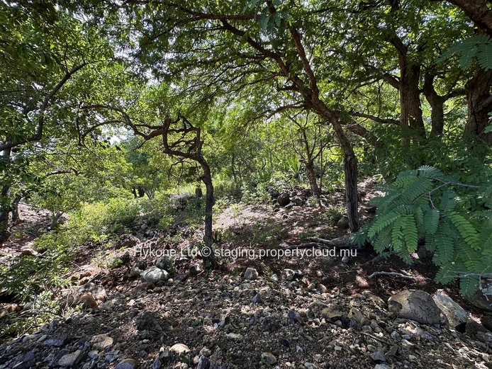 Residential Land For Sale In Black River