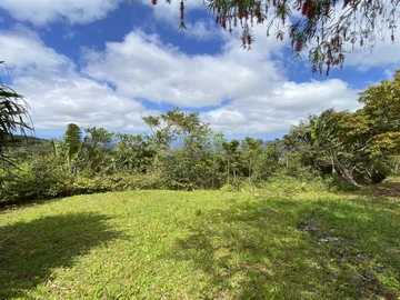 Residential Land