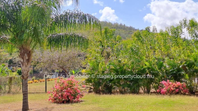 Villa for Rent - Black River gorges - Matala