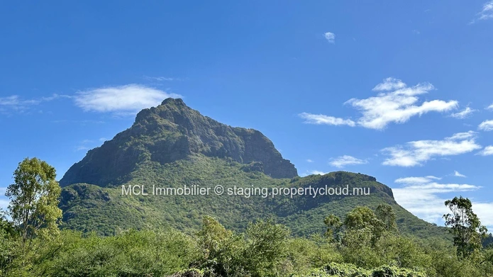 Terrain Agricole de 12 arpents à vendre au Morne