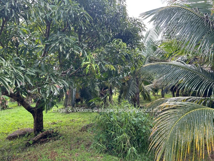 Commercial Land for Sale in Montagne Blanche — A Unique Investment Opportunity