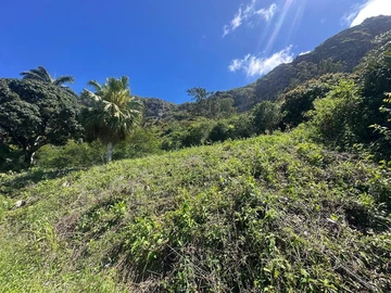Residential Land