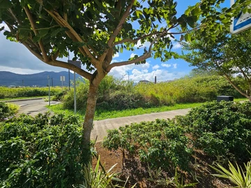 Commercial Land