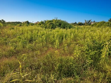 Terrain Agricole