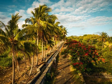 Residential Land