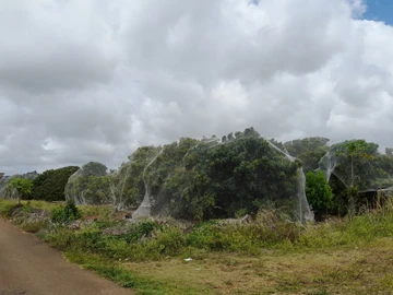 Agricultural Land