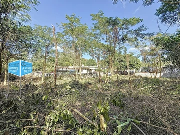 Land