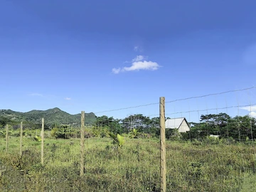 Terrain
