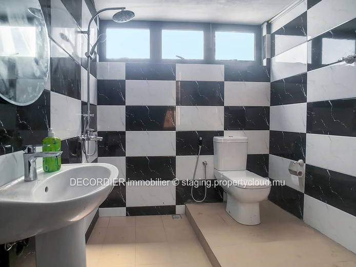 New and modern house with swimming pool and garden