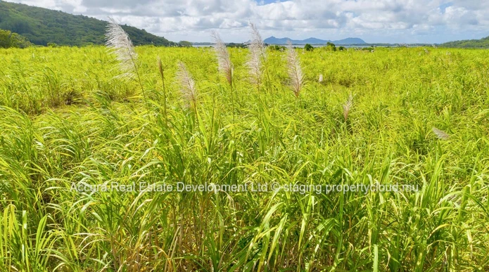 Grande opportunité d'investir dans un terrain agricole dans les Midlands !