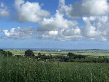 Land