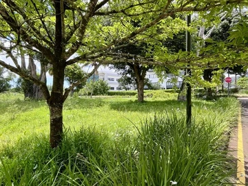 Commercial Land