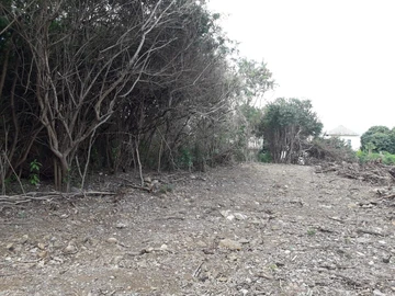 Terrain Résidentiel