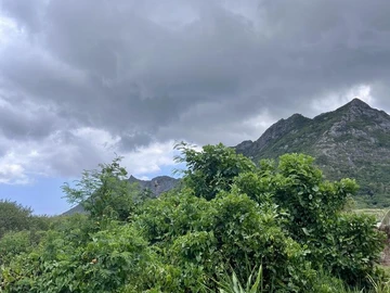 Residential Land