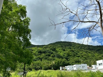Agricultural Land