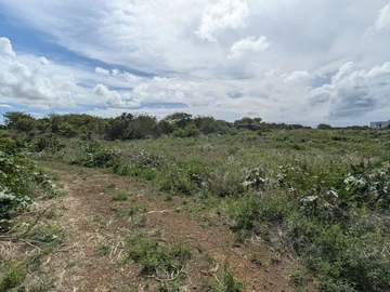 Residential Land