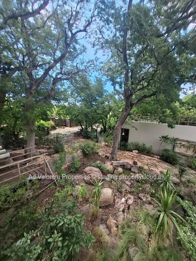 House for sale in Black River-A Haven of Peace.