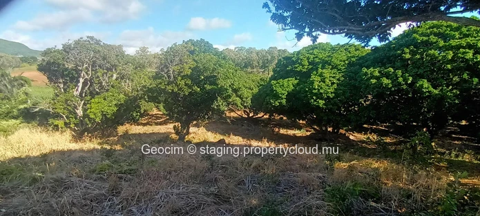 D'Epinay close to Pamplemousse Agricultural freehold plot of land 18572 sqm. River. Lichtis plantation. Water & Elect... (Sole Mandate)