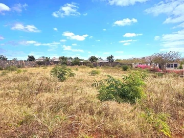 Terrain