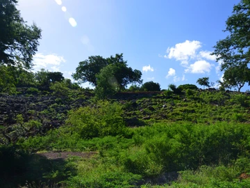 Residential Land