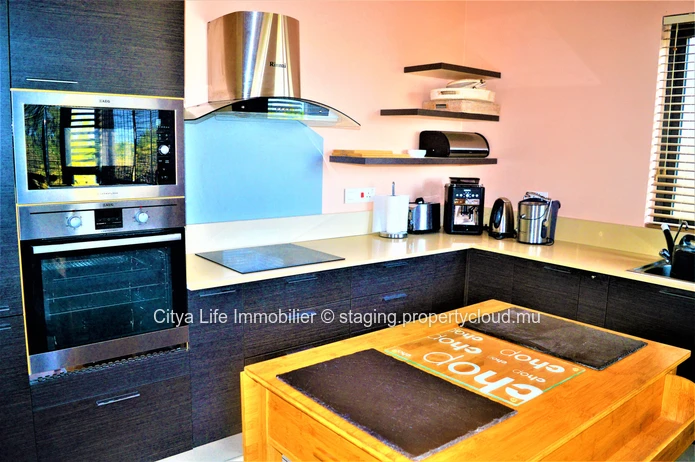 Dream penthouse for sale