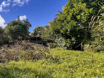 Residential Land