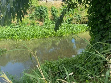 Commercial Land