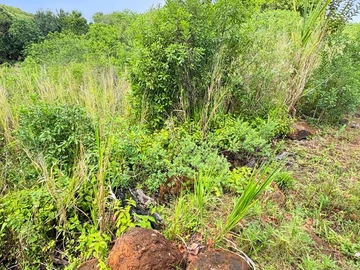 Residential Land