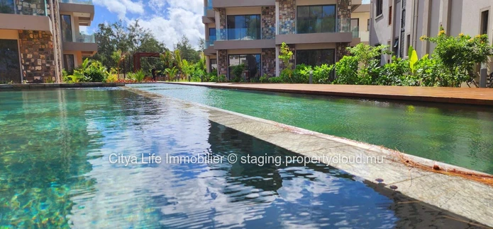 Stunning Beachfront Apartment in Poste Lafayette