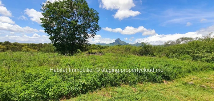 A VENDRE - Terrain unique de 7 arpents relié à la rivière de Tamarin a des dimensions généreuses pour un développemen...