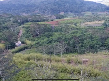 Agricultural Land