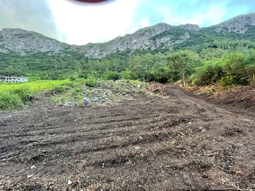 Agricultural Land
