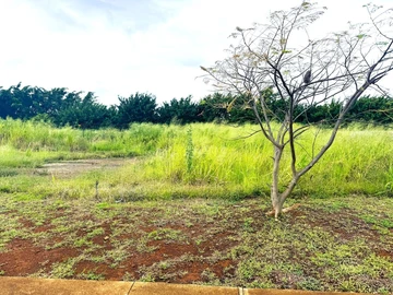 Residential Land