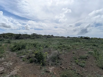 Residential Land