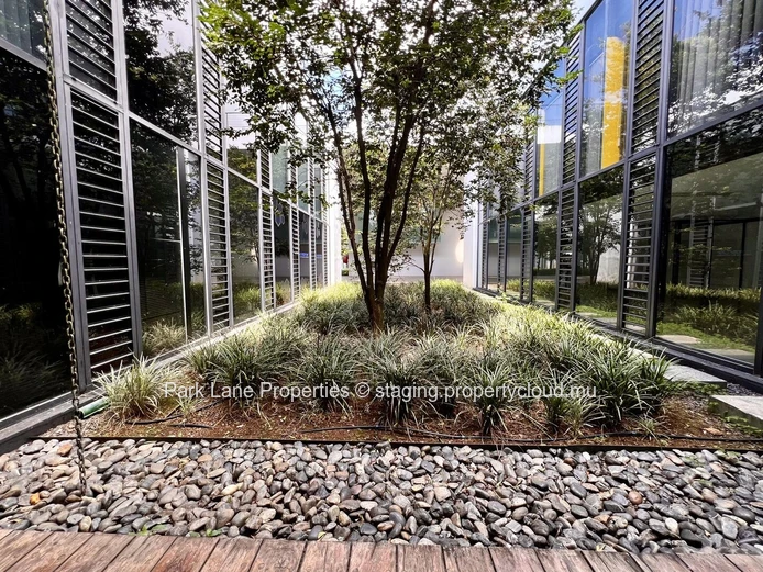 Your perfect 17 m² office: Nature, comfort & convenience in Phoenix