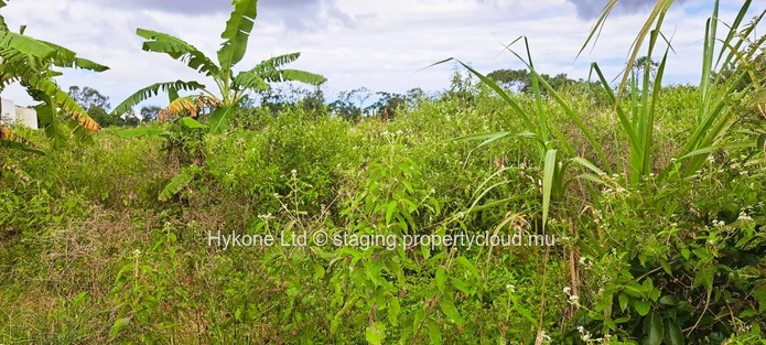 Agricultural Land For Sale At la Flora